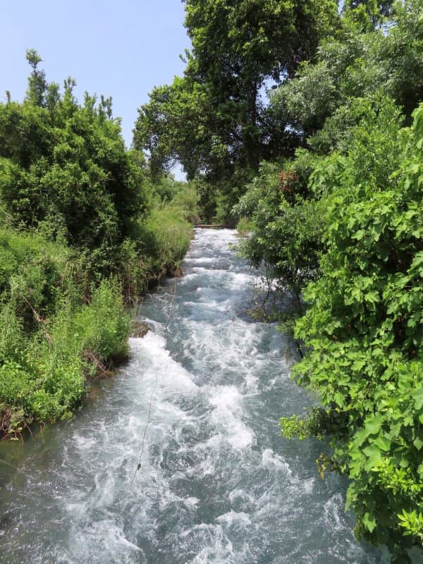 Tel Dan - Nationalpark