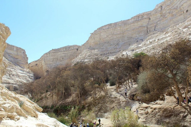 Nationalpark Ein Avdat - Negev