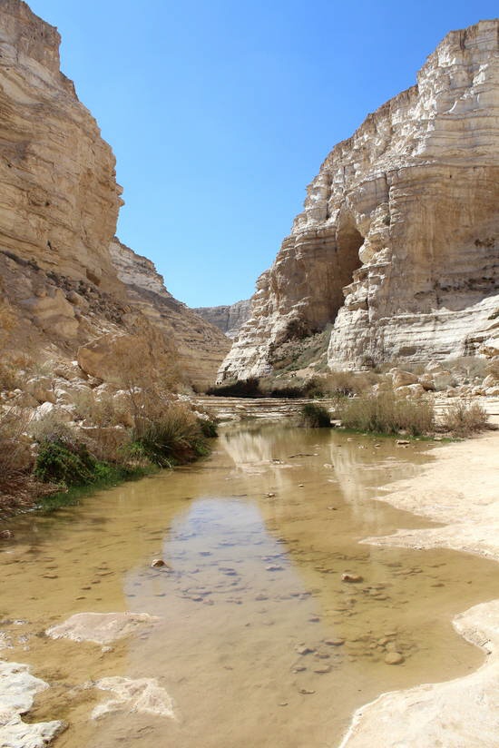 Wüste Zin - Negev