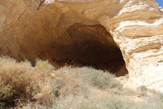 Ein Avdat - Negev