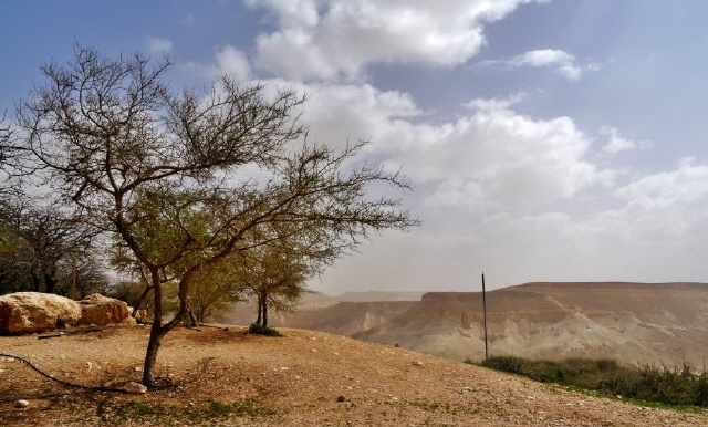 Ein Avdat - Negev