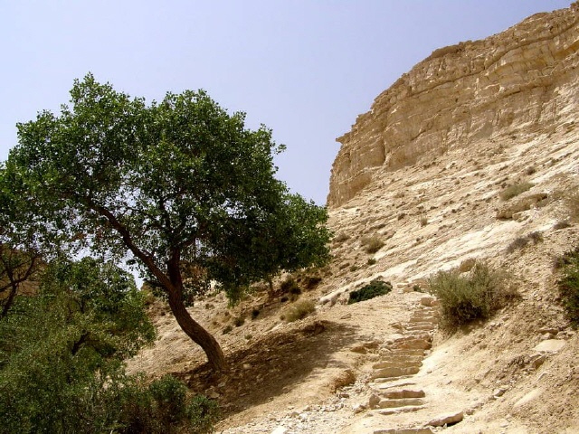 Ein Avdat - Negev