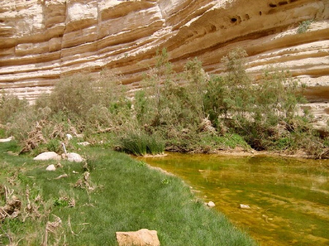 Ein Avdat - Negev