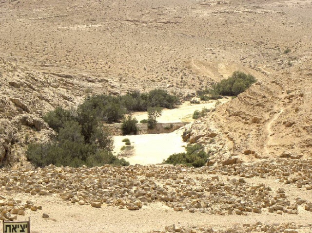 Nabatäerstadt Mamschit - Negev