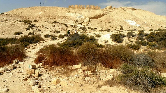 Nabatäerstadt Nitzana - Negev