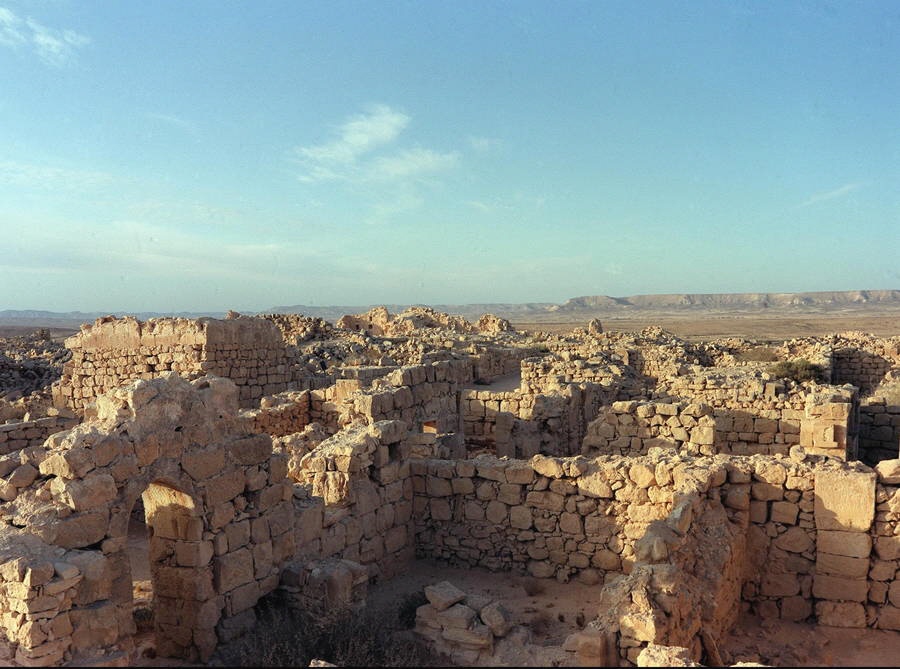 Nabatäerstadt Schivta - Negev