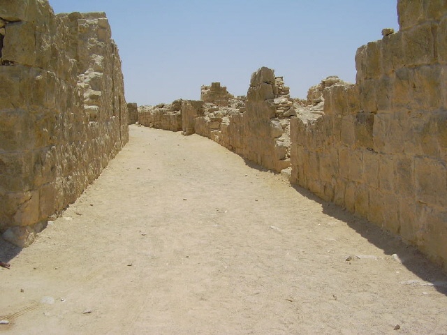 Nabatäerstadt Schivta - Negev