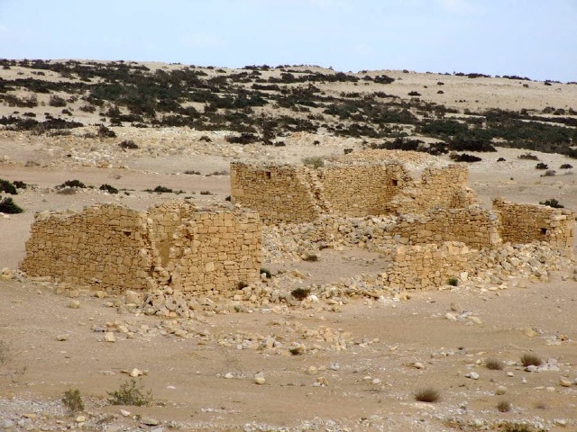 Nabatäerstadt Elusa - Negev