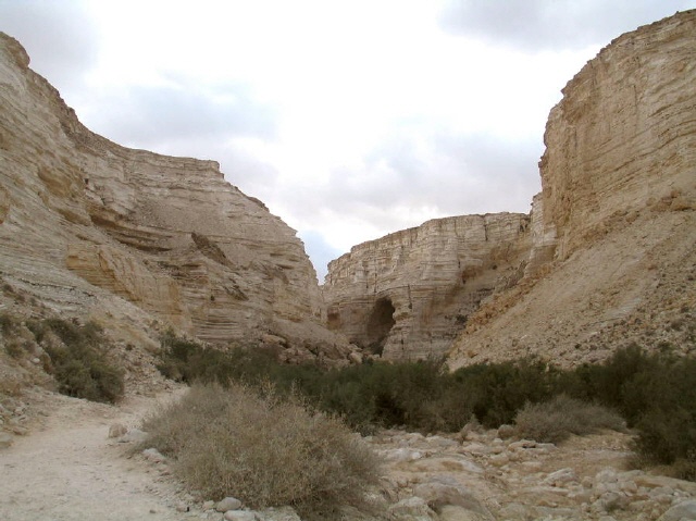 Ein Avdat - Negev