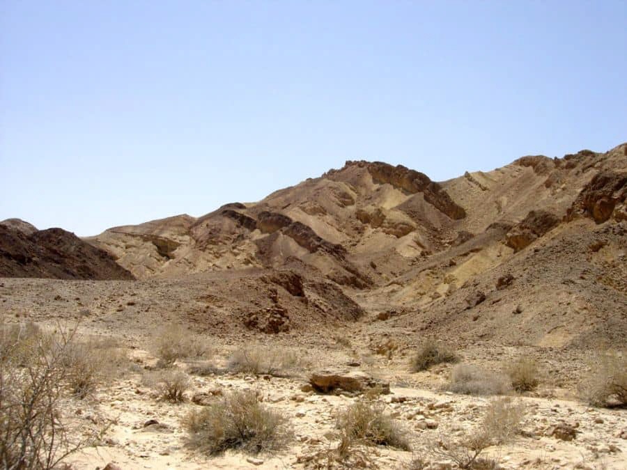 Wadi Paran - Negev