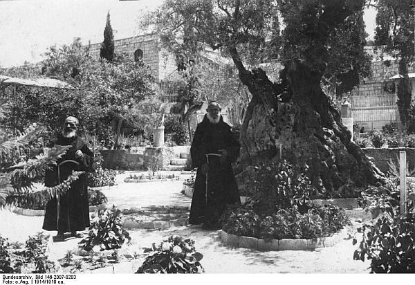 Jerusalem - Garten Gethsemane