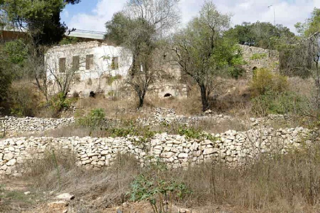 Qalunya