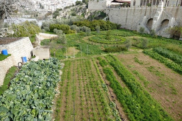 Artas - Westjordanland
