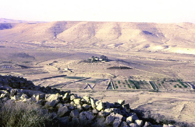 Avdat - Negev