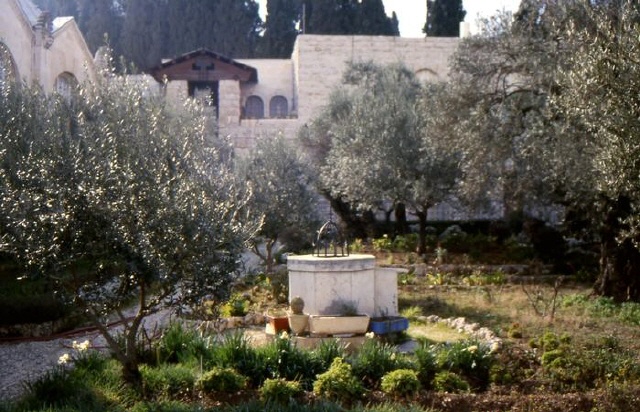 Jerusalem - Garten Gethsemane