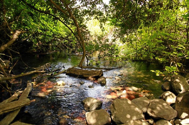 Tel Dan - Nationalpark